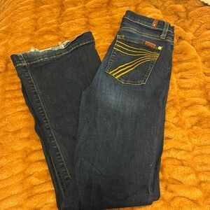 7 For all Mankind Dojo Flare